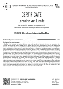 EITC-BI-OO-AAH08101234-Suppl