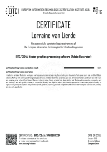 EITC-CG-AI-AAH08101234-Suppl