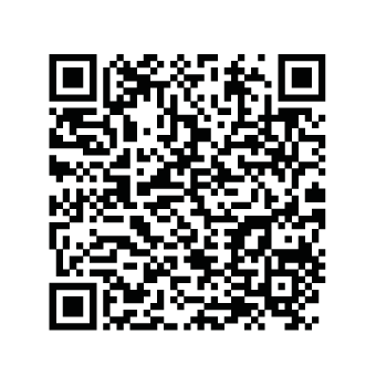 EITC/IS/BTC Bitcoin blockchain developer - Image 4