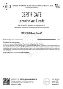 EITC-AI-GVAPI-AAE08101234-Suppl