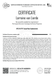 EITC-AI-TFF-AAE08101234-Suppl