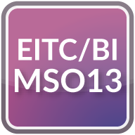EITC/BI/MSO13 icon